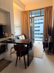 Spottiswoode Suites (D2), Apartment #551913261